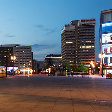 Close-up of yellow rose opening up.