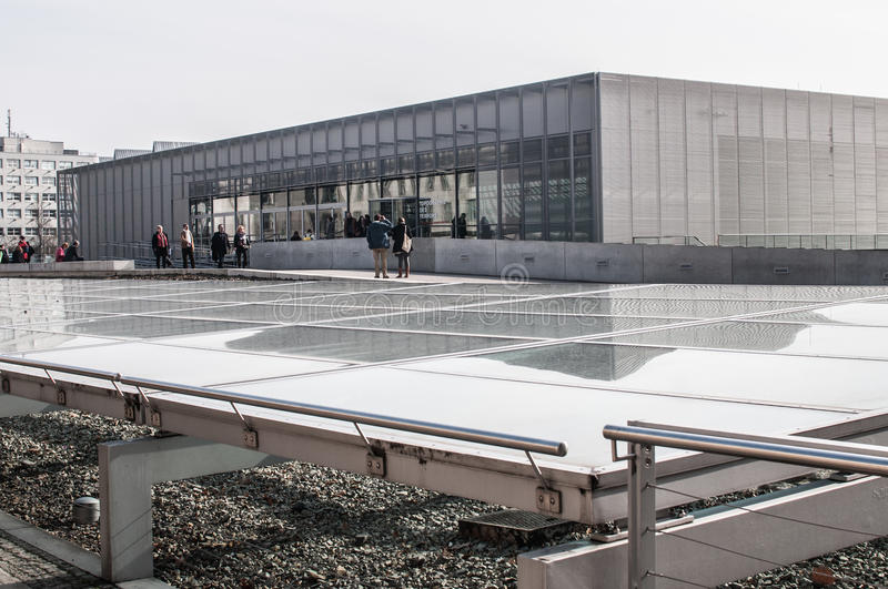 Close-up of yellow rose opening up.
